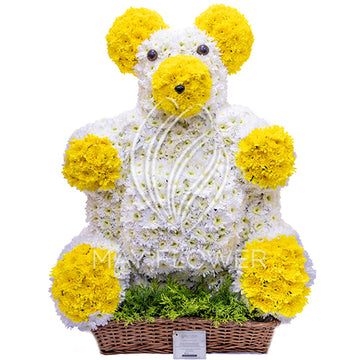 Mr. Teddy